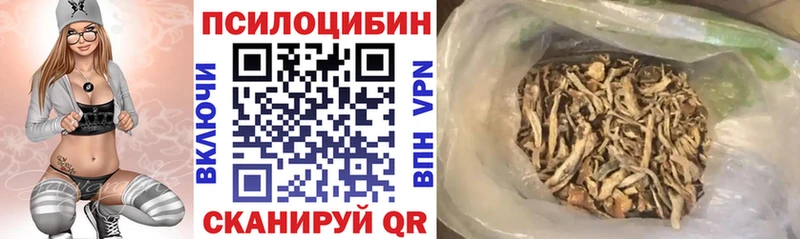 сколько стоит  Вятские Поляны  Псилоцибиновые грибы Cubensis 